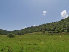 -关山草原