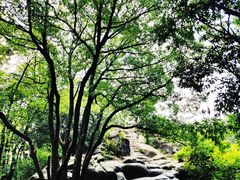 -灵岩山风景区