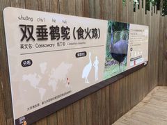 -武汉动物园