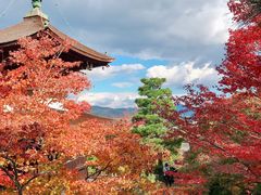 景点-常寂光寺