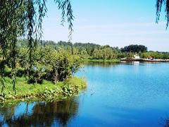 -东郊湿地公园