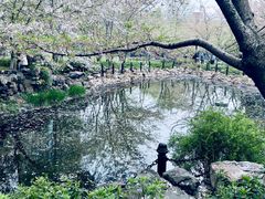 -鲁迅公园-垂钓中心