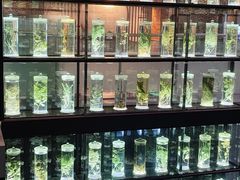 -广东中医药博物馆