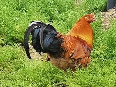 -杭州六谷生态休闲农庄有限公司