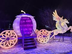 -沈阳奥体冰雪嘉年华