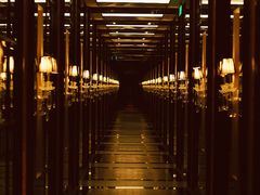 -御宝轩(益丰·外滩源店)