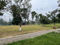 -桂溪生态公园