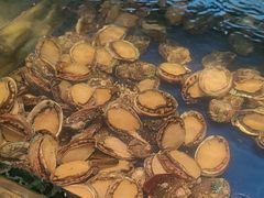 -尚宴牛特鲜自助(太原街万达店)