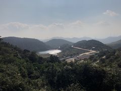 -大姆山草场