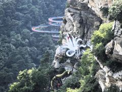 -大芦花风景区