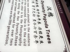 -平遥县衙