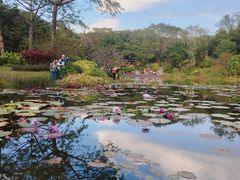 -云溪植物园