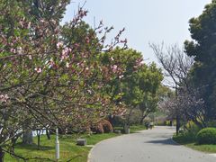 -石湖景区
