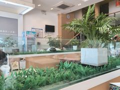 -嘉和一品粥(津华昌道店)