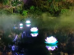 -印象普陀