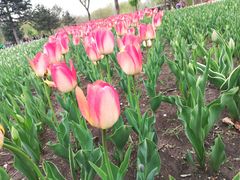 -长春公园(普阳街道)