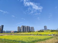 -光明小镇欢乐田园