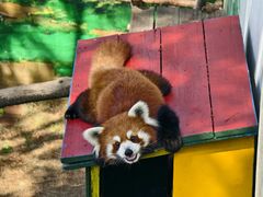 -西霞口神雕山野生动物世界
