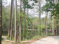 -波尔登森林公园