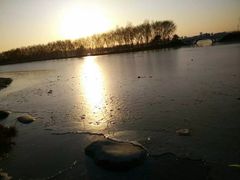 -大兴滨河森林公园