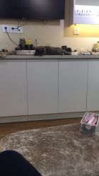 -EasyLady美甲沙龙