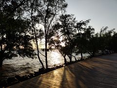 -宝安西湾红树林湿地公园