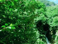 -陕西省红河谷森林公园
