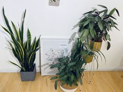 -隹木咖啡馆(宝龙广场店)