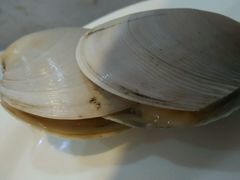 -小科自助海鲜烧肉(高区店)