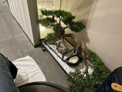 点击看大图 -美壹生皮肤管理中心