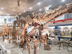 -国家自然博物馆