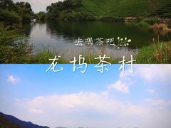 -龙坞茶村