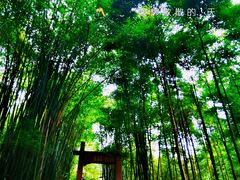-凤栖山