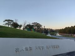 -荷兰花海