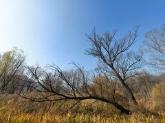 -玉渡山自然风景区