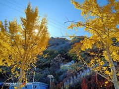 -黑龙潭风景区