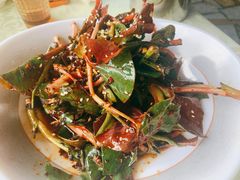 折耳根-林中乐辣子鸡(歌乐山总店)