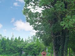 -白鹭湾湿地公园