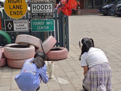 -天毓山庄·餐厅