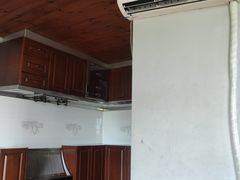 -金山农民画村-枫泾波兰倒置屋