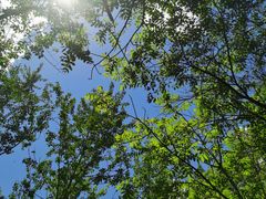 -玉渡山自然风景区