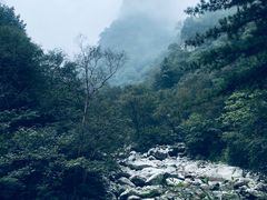 -青峰峡国家森林公园