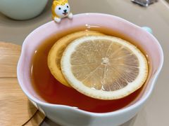 柠檬红茶-逗柴咖啡屋·狗咖猫咖宠物桌游