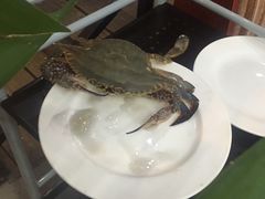 -海岛渔村大酒店(云霄路店)