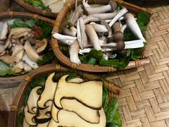 -滇野云南野生菌餐厅(陕西南路店)
