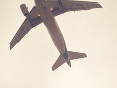 -空港花田景区