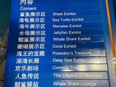 -烟台海昌鲸鲨海洋公园