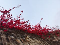 -石炮台公园