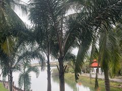 -三亚亚龙湾金棕榈度假酒店