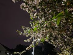 -四川大学(望江校区)